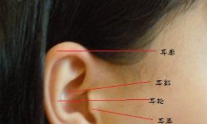 女人耳朵有痣图解面相女人耳朵有痣代表着什么十二星座(耳珠厚的女人面相图解大全)