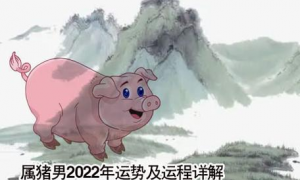 83年男猪2023的运势 83年属猪男2023年每月运势