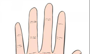 如何看手相女智慧线是哪个 怎么看手相图解女右手