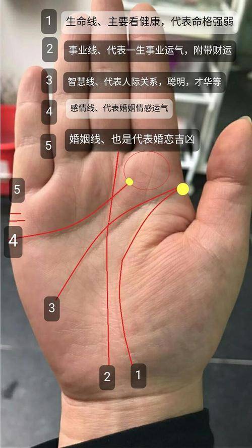 心线,在中国传统看手相的三大主纹中,是天纹,位于理智线的上端,从小指