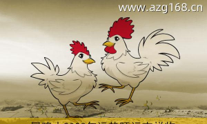 运势测算2023年属鸡运程 2023年属鸡人运程