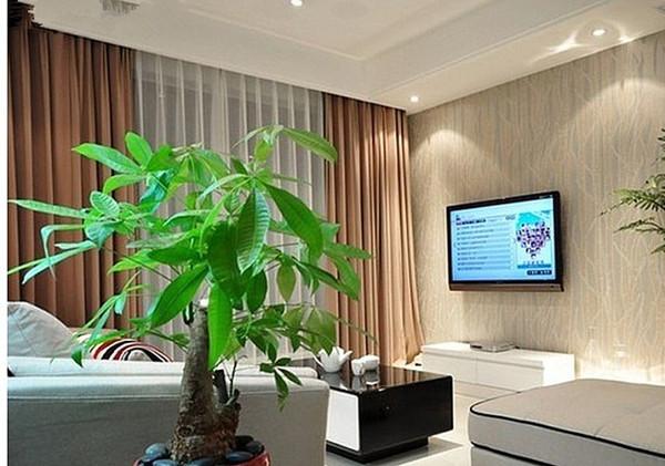 来看看有关盆栽的风水 客厅风水包含很多小的细节,家具的摆放以及电视