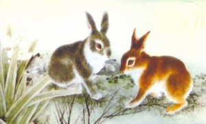 狗和孩子属相兔的性格合吗 87年属兔的属相婚配表