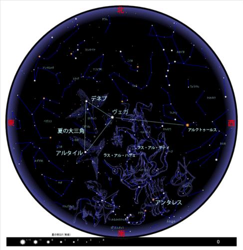 牛郎星位于哪一个星座各星座详细介绍