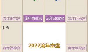 2023年紫微流年是什么 2023紫微星八字