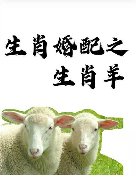 属羊的婚姻如何根据古代算命术中的说法而已