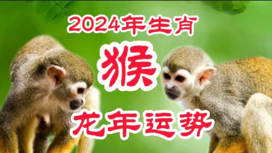 生肖猴分别在2024年的运势