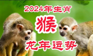 慈元阁2023年猴肖运势 2024生肖纪念币预约最新消息