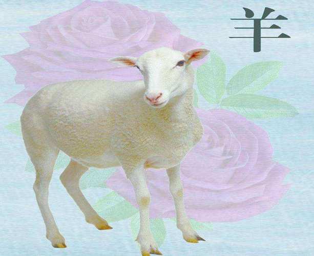 属羊和什么属相不合生肖羊不宜婚配的属相有哪些