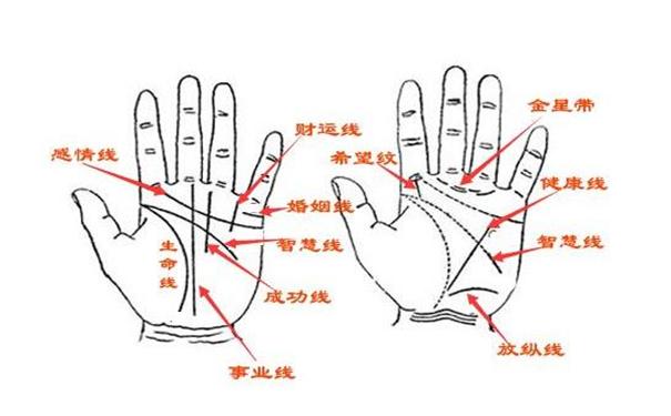 分析一下婚姻线看左手还是右手_996手相网