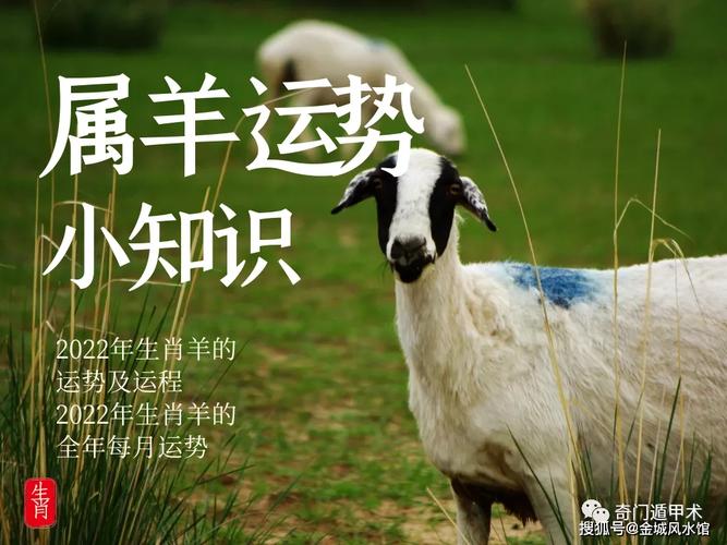 十二生肖 | 2023年生肖羊的运势及运程-2023年生肖羊的全年每月运势