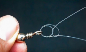 钓鱼线组八字环的绑法 钓鱼八字环与主线的绑法