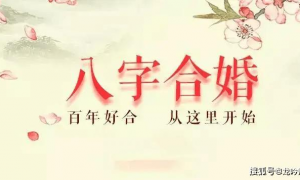 八字合婚合了4个字好不为什么中国婚博会官