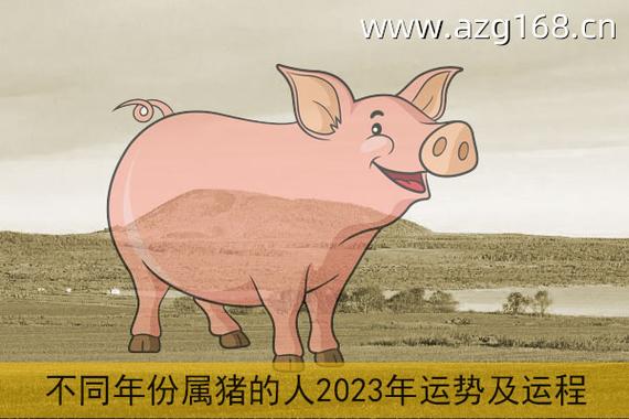属猪2023年运势及运程详解