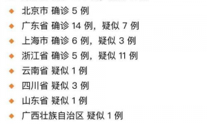 武汉感染人员姓名查询电话 武汉市感染人数记录