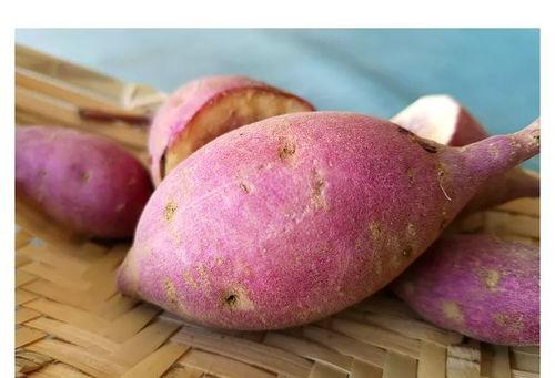 广东网红吃瓜,趣味横生幕后花絮大揭秘